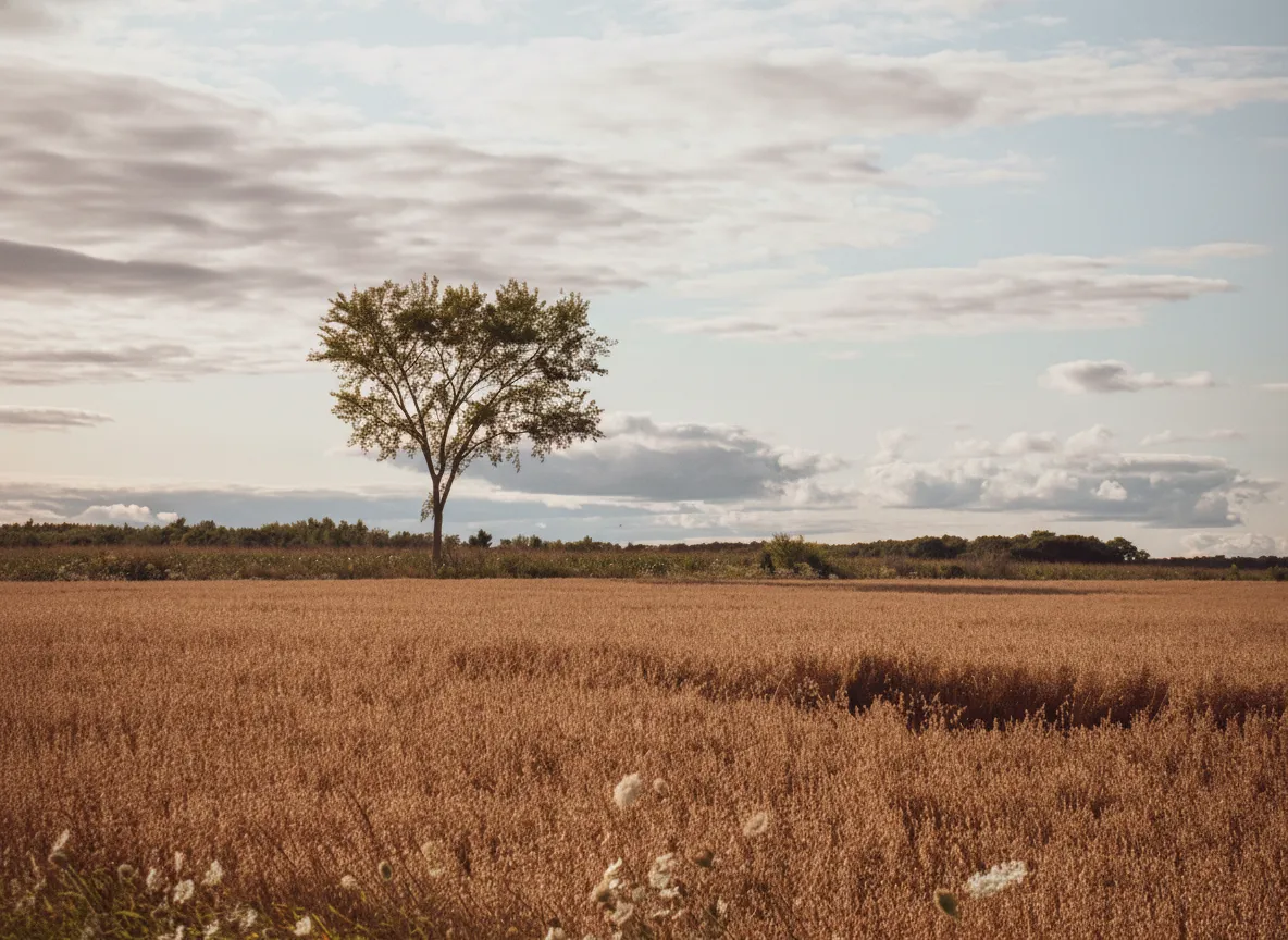 Landscape color correction - After